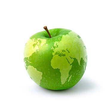 A nutrition research portfolio from ILSI U.S. and Canada focuses on globally harmonized nutrients