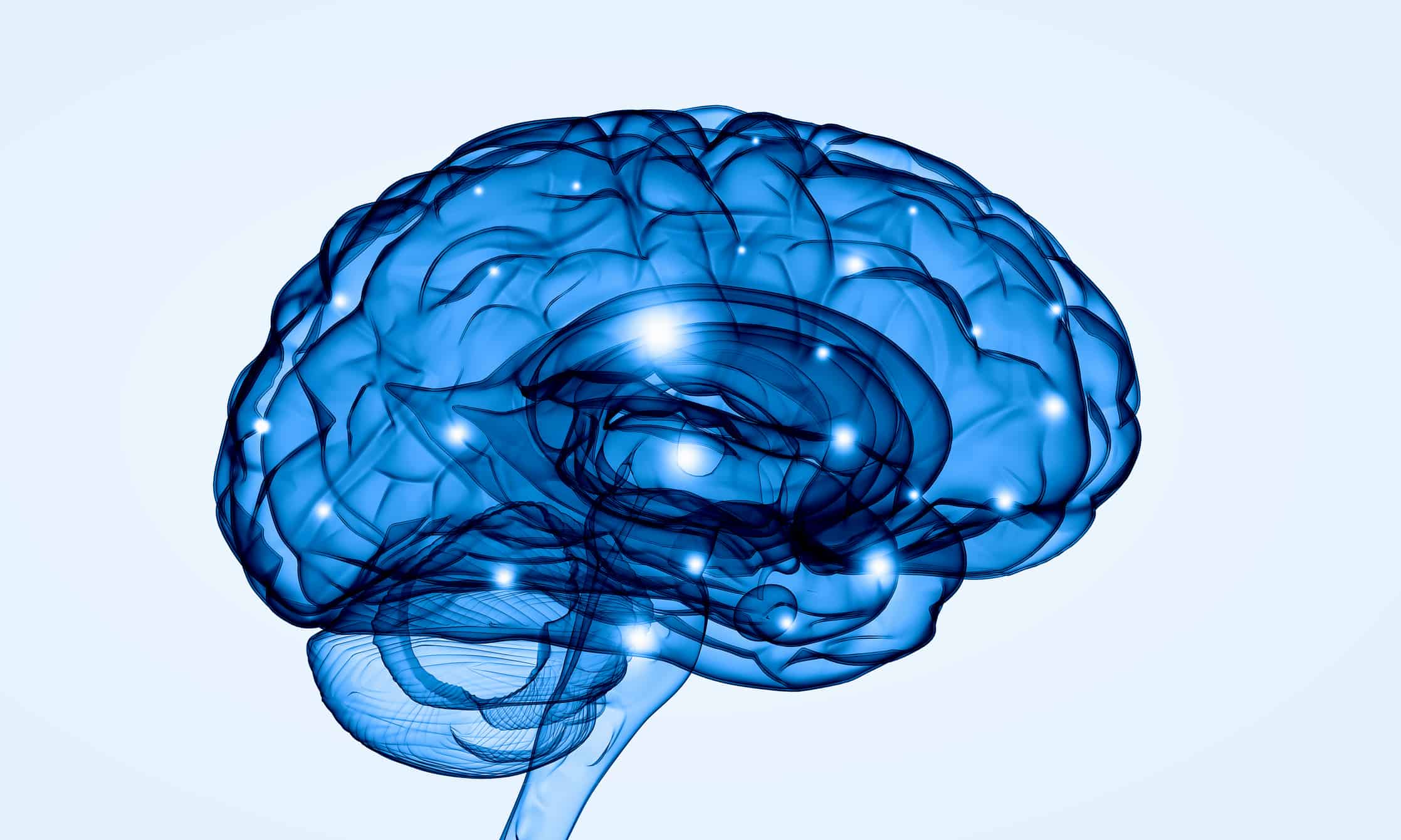 ILSI's work with Healthy Aging Nutrition for the Aging Brain ILSI's work with Healthy Aging Nutrition for the Aging Brain