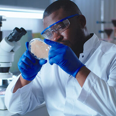 ILSI U.S. and Canada research on cellular agriculture aims to support food safety through risk assessments of cultivated foods