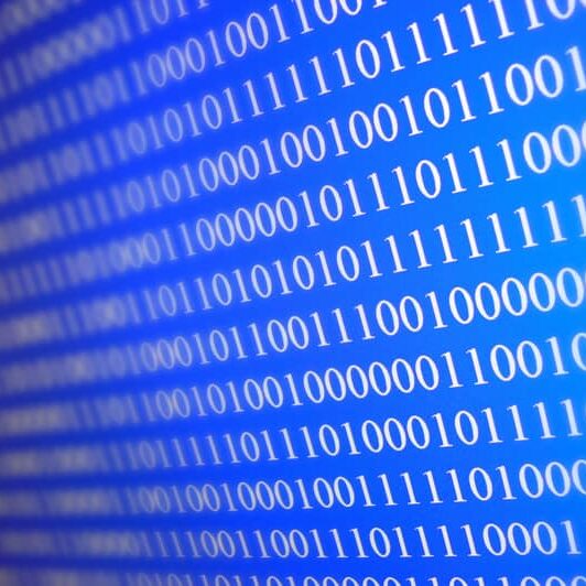 ILSI entities  must guarantee accessibility to all data and control of statistical analysis by investigators and appropriate auditors/reviewers.