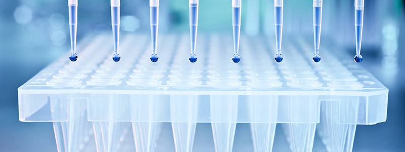 DNA samples and a plate for PCR analysis DNA samples are loaded to 96-well plate for PCR analysis