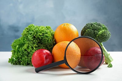 food with magnifying glass food with magnifying glass