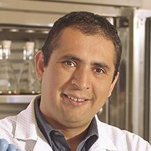 Garrido Headshot 3 Garrido Headshot 3