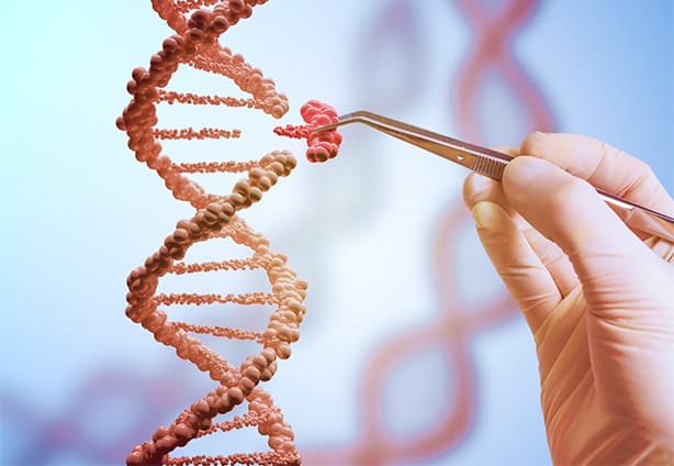 Genome Editing Genome Editing