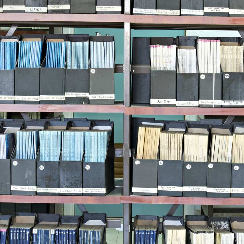 ILSI entities must ensure that investigative teams have the freedom to publish research results without interference.