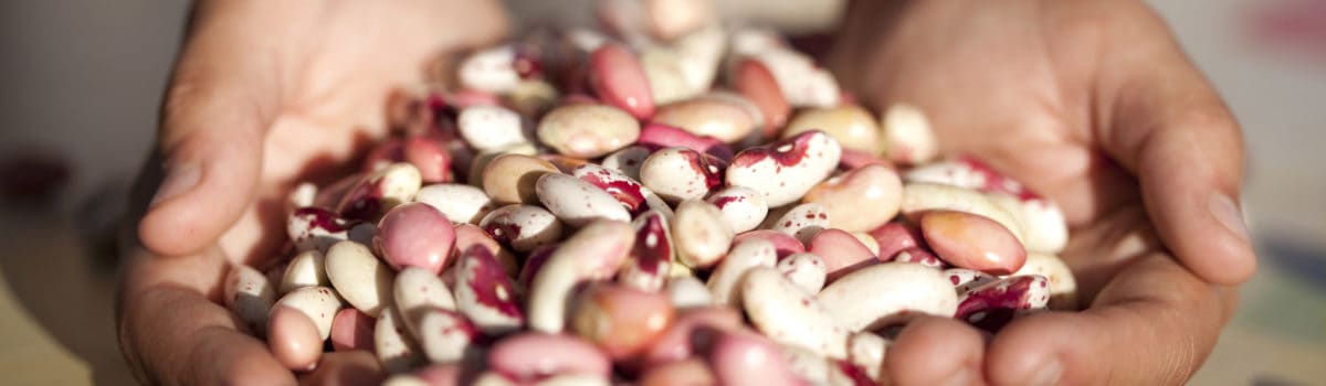 Sustainable Agriculture & Nutrition Security