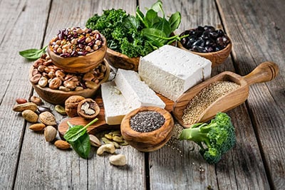 Plant protein sources Plant protein sources