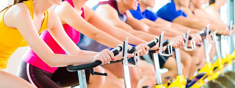 SEAR-Physical Activity SEAR-Physical Activity
