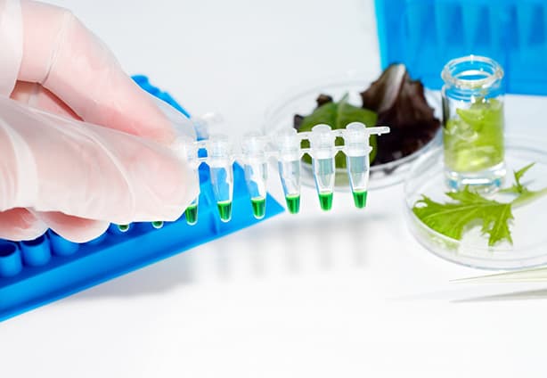 Whole Genome Sequencing Whole Genome Sequencing