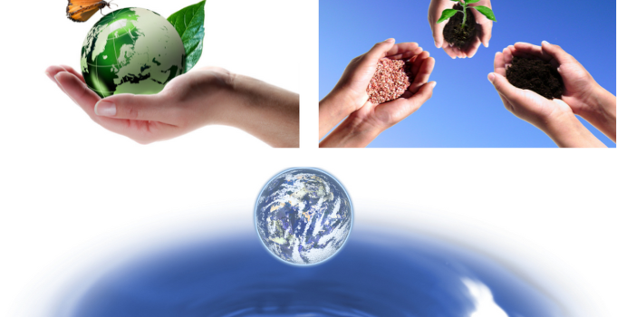Sustainability Committee